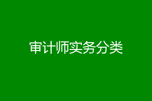 审计师实务分类