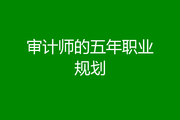 审计师的五年职业规划