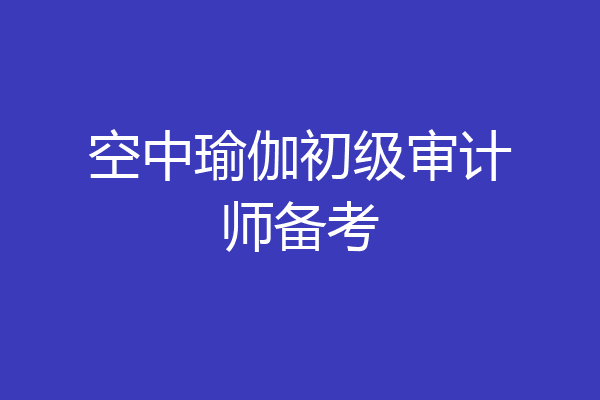空中瑜伽初级审计师备考