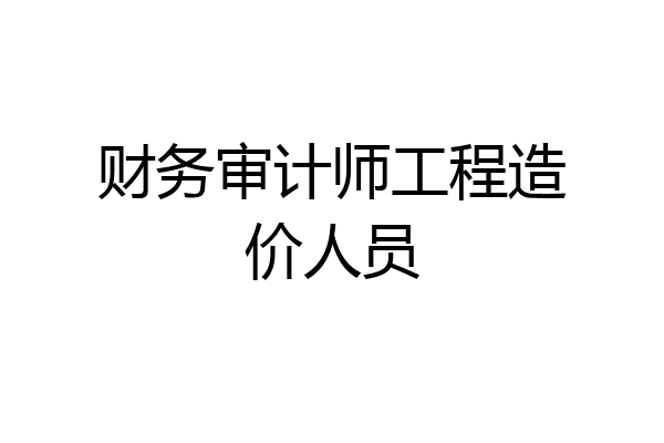 财务审计师工程造价人员