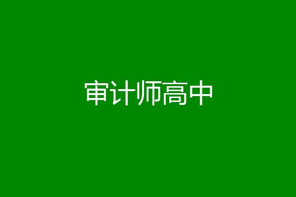 审计师高中