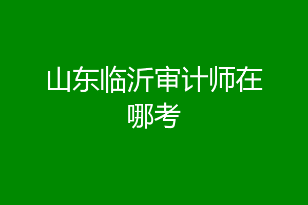 山东临沂审计师在哪考