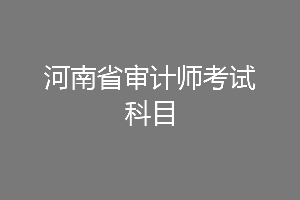 河南省审计师考试科目