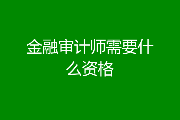 金融审计师需要什么资格