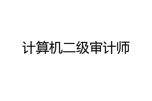 计算机二级审计师