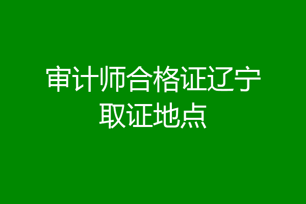 审计师合格证辽宁取证地点
