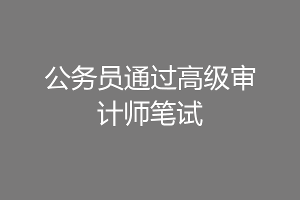公务员通过高级审计师笔试