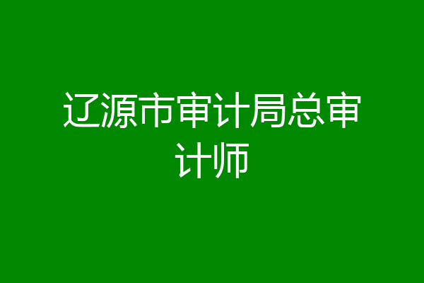 辽源市审计局总审计师