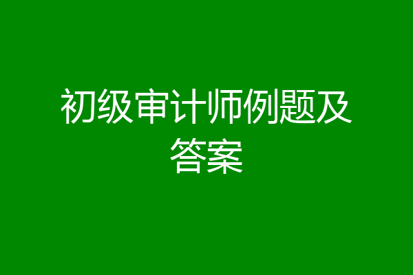 初级审计师例题及答案