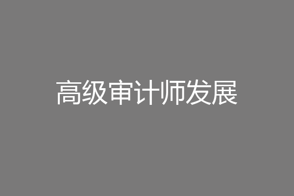 高级审计师发展