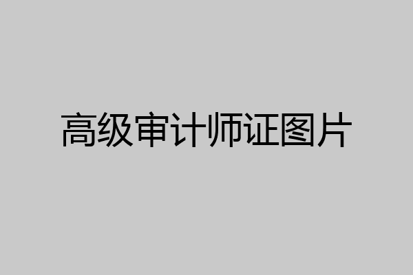 高级审计师证图片