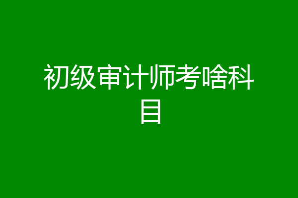 初级审计师考啥科目