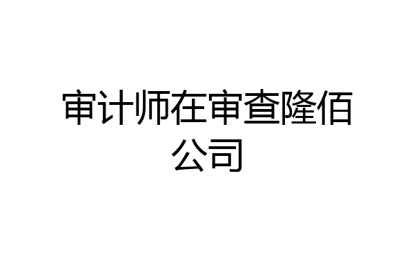 审计师在审查隆佰公司