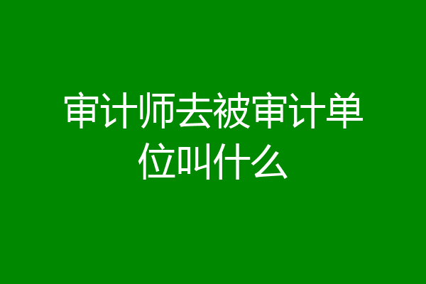 审计师去被审计单位叫什么