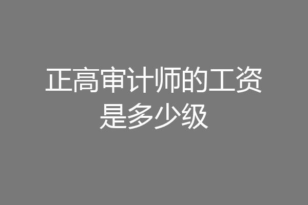 正高审计师的工资是多少级