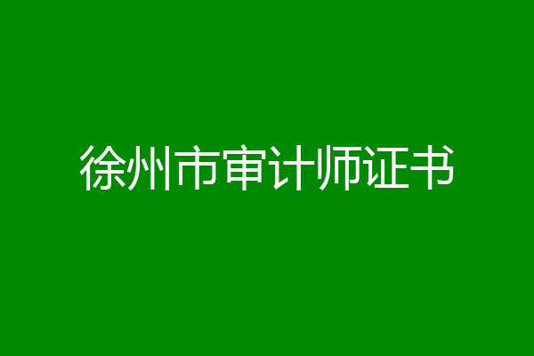 徐州市审计师证书