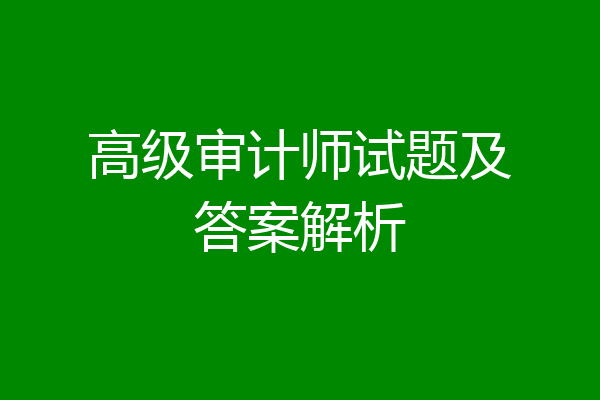 高级审计师试题及答案解析