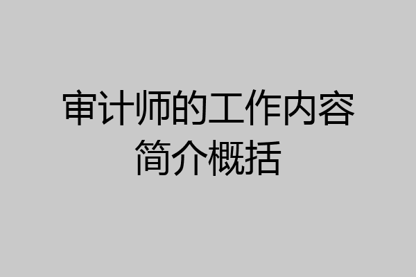 审计师的工作内容简介概括
