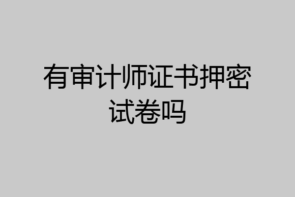 有审计师证书押密试卷吗
