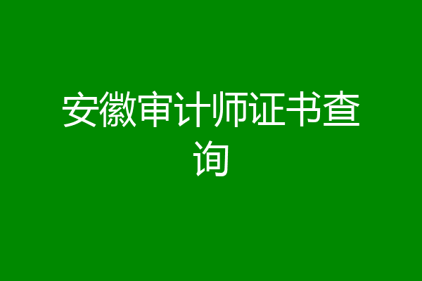 安徽审计师证书查询