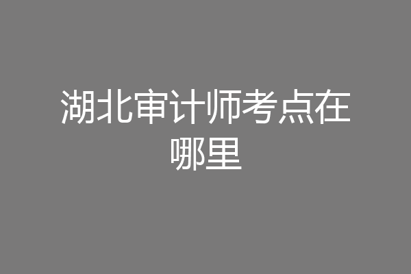 湖北审计师考点在哪里