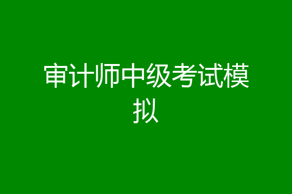 审计师中级考试模拟