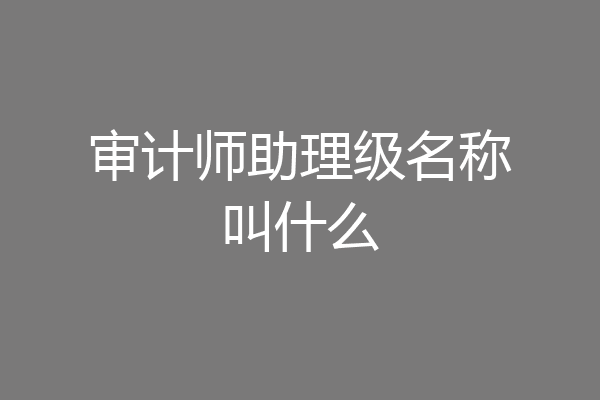 审计师助理级名称叫什么