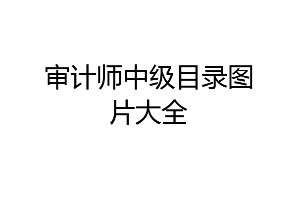 审计师中级目录图片大全