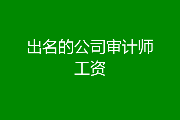 出名的公司审计师工资