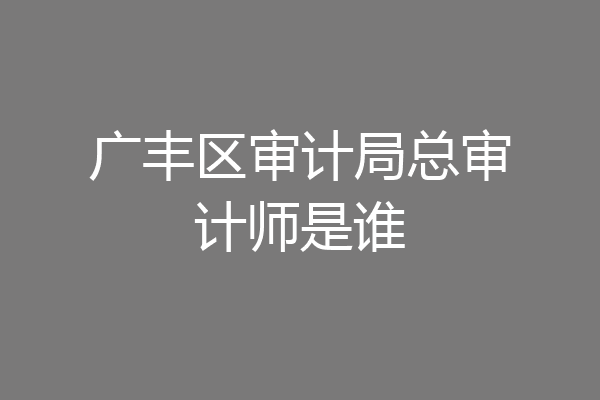 广丰区审计局总审计师是谁
