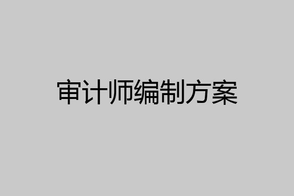 审计师编制方案