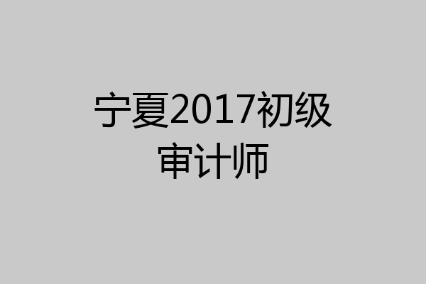 宁夏2017初级审计师