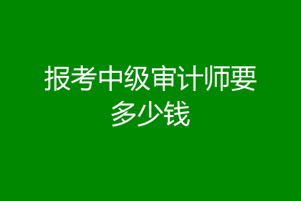 报考中级审计师要多少钱