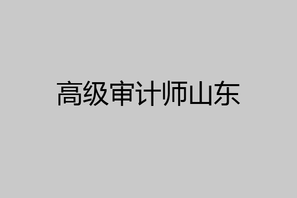 高级审计师山东