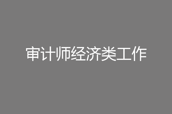 审计师经济类工作