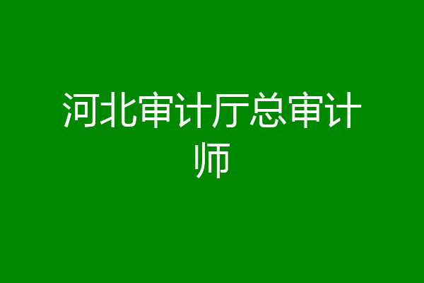 河北审计厅总审计师