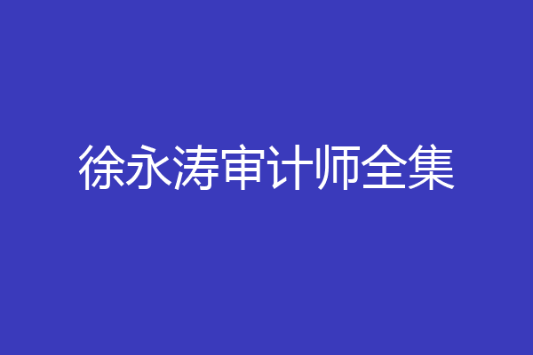 徐永涛审计师全集