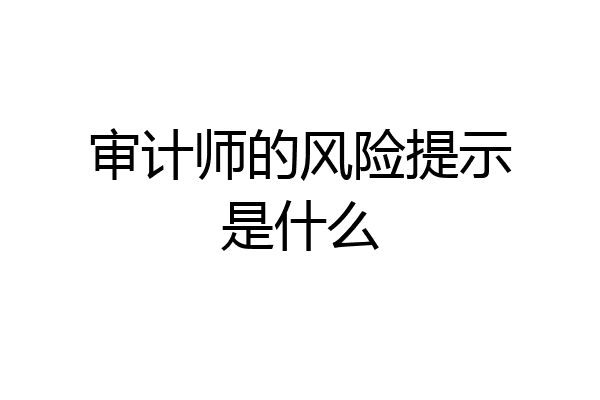 审计师的风险提示是什么