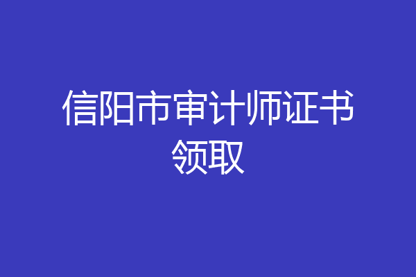 信阳市审计师证书领取