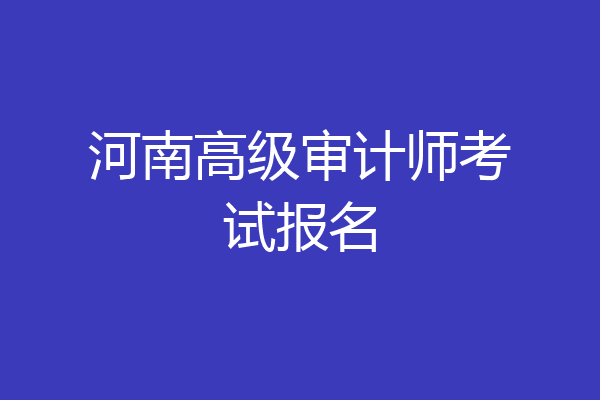 河南高级审计师考试报名