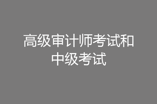高级审计师考试和中级考试