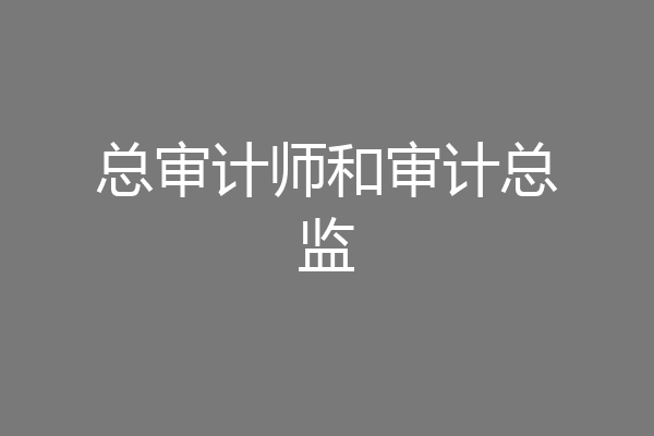 总审计师和审计总监