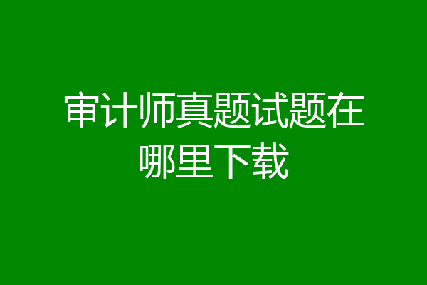 审计师真题试题在哪里下载