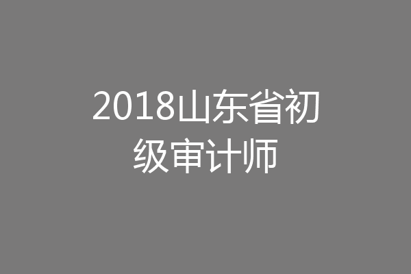 2018山东省初级审计师