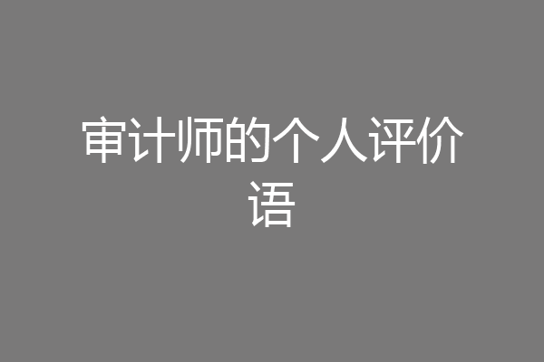 审计师的个人评价语