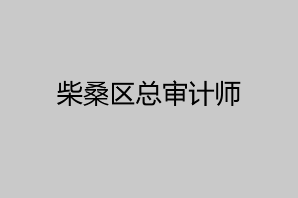 柴桑区总审计师