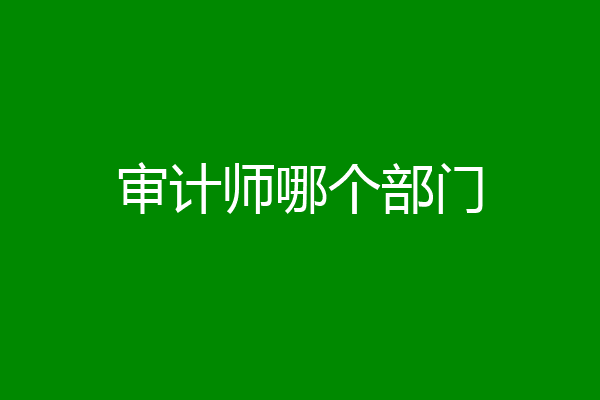 审计师哪个部门