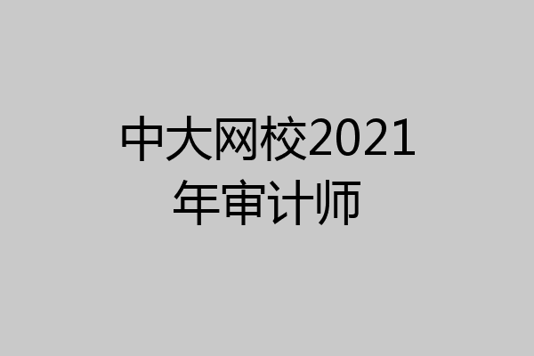 中大网校2021年审计师
