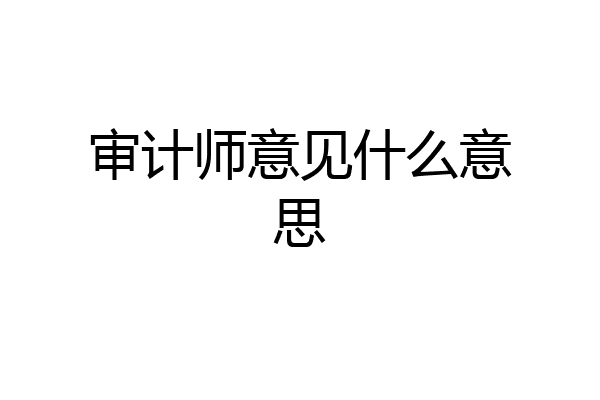 审计师意见什么意思