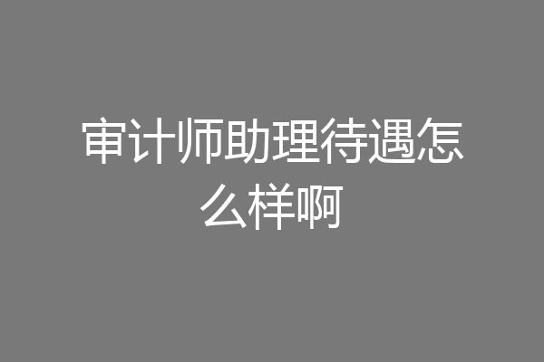 审计师助理待遇怎么样啊